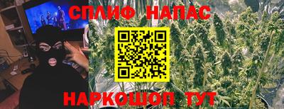 сатива Обнинск