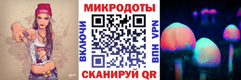 где купить наркотик  Арзамас  Псилоцибиновые грибы MAGIC MUSHROOMS 