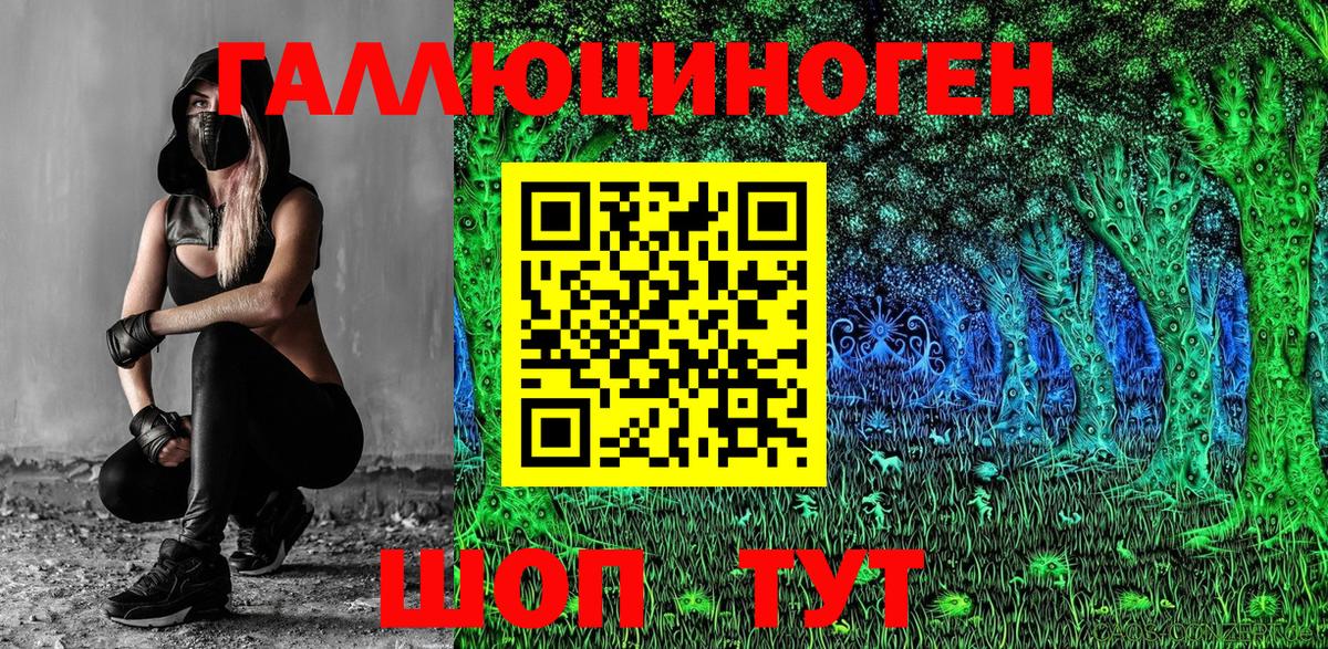 Арзамас  Галлюциногенные грибы Psilocybine cubensis  Вход с VPN  Галлюциногенные грибы Psilocybine cubensis 